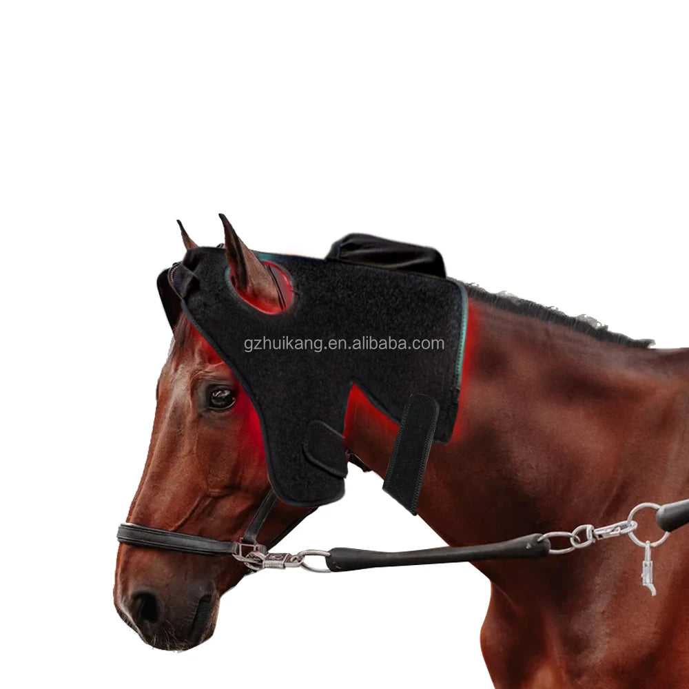 Red Light Equine Therapy Horse Therapy Horse Racing Equestrian Rug 660nm 850nm Red Light Therapy Wrap For Home Use