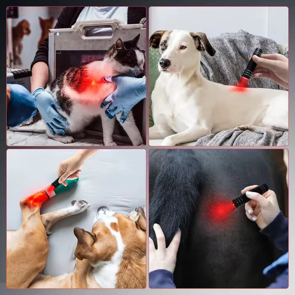 Red Light Therapy Lamp 660nm Red Light & 850nm Infrared Lamp Therapy Torch with Timer Portable LED Small Torch Body Pain Relief